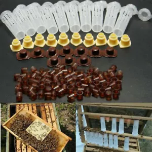 Sistema completo de apicultura cría de reinas cría Queen para apicultura apicultora - Imagen 1 de 12