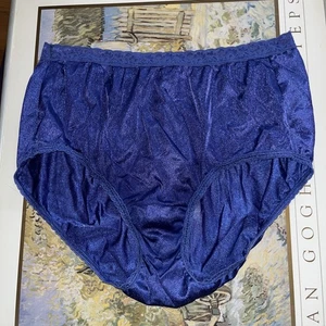 Vintage Hanes Nylon Höschen Große 7 - Bild 1 von 7