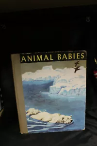 ANIMAL BABIES MARGARET JEAN BAUER ILLUSTRATED BY JACOB BATES ABBOTT 1949 FIRST - Picture 1 of 6