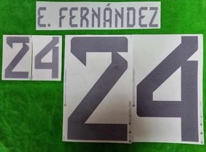 OFFICIAL ARGENTINA AFA Home World Cup 2022 2 STARS DEKOGRAPHICS PRINT - Picture 1 of 4
