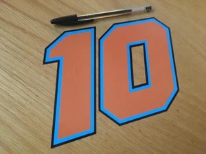 Luca Marini Race Number 10 (Large) - Picture 1 of 1