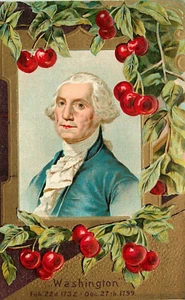 Marco de cerezas en relieve postal George Washington 1910 dividido - Imagen 1 de 2