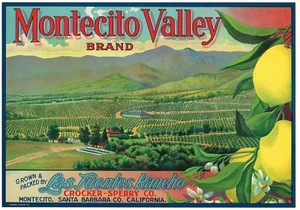 LITOGRAFÍA DE PIEDRA ORIGINAL MONTECITO VALLE CAJA LIMÓN ETIQUETA SANTA BARBARA 1930 - Imagen 1 de 1