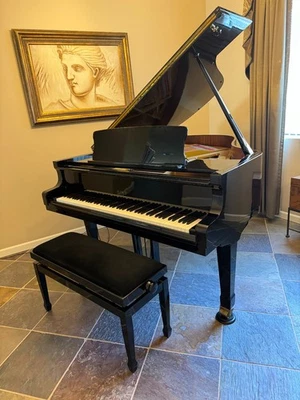 Piano de cola a la venta Petrof Modelo IV 5'8" Ébano Piano de cola con humidificador Foto 1 de 4