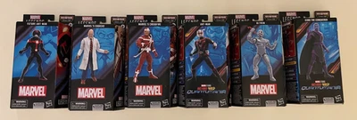 Marvel Legends Ant-Man Cassie Lang Build-A-Figure Wave (sin avispa) Foto 1 de 4