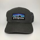 Patagonia P6 Logo Netz Trucker Mütze Kappe grau mittlere Krone Frühjahr 2014 