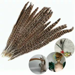 100 Pack Natural Pheasant Tail Feathers 10-12 Inch Long DIY Craft Party - Picture 1 of 7