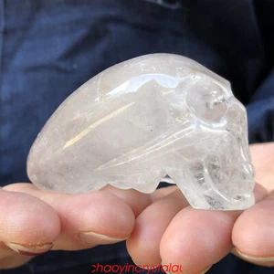 0.35LB Natural Smokey Quartz Aliens Skull Quartz Crystal Hand Carved XK530-05-A - Imagen 1 de 10
