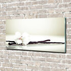 Wandbild aus Plexiglas® Druck auf Acryl 140x70 Blumen & Pflanzen Vanillestange