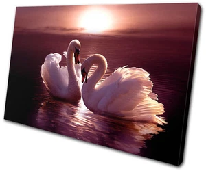 Tiere Schwäne Liebe Herzen rosa EINZELNES LEINWANDBILD WANDBILD Bild Druck VA - Bild 1 von 1