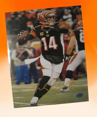 FOTO AUTOGRAFADA À MÃO 8X10 DE ANDY DALTON NFL CINCINNATI BENGALS com certificado de autenticidade - Imagem 1 de 3
