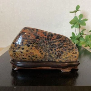Suiseki Bonsai Chrysanthemum Stone Cherry Stone Size 15x9x5cm Weight 820g New - Picture 1 of 9