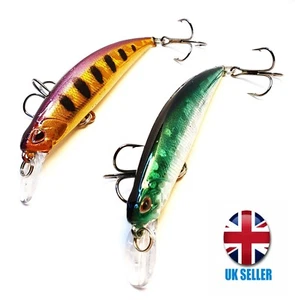 2x Set Gobait Minnow Fishing Lure Hard Artificial Bait 3D Eyes 9 cm 13 G Vobler - Picture 1 of 6