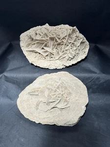 Grande lotto di grappoli di cristalli di gesso selenite rosa del deserto ~7" 2 esemplari 6 libbre - Foto 1 di 14
