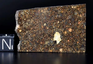 Meteorite NWA 16457 - LL3 Chondrite - STUNNING Chondrules - polished Slice 11.7g - Picture 1 of 4