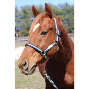 TuffRider Nylon Breakaway Halter & Lead Set - Picture 1 of 11