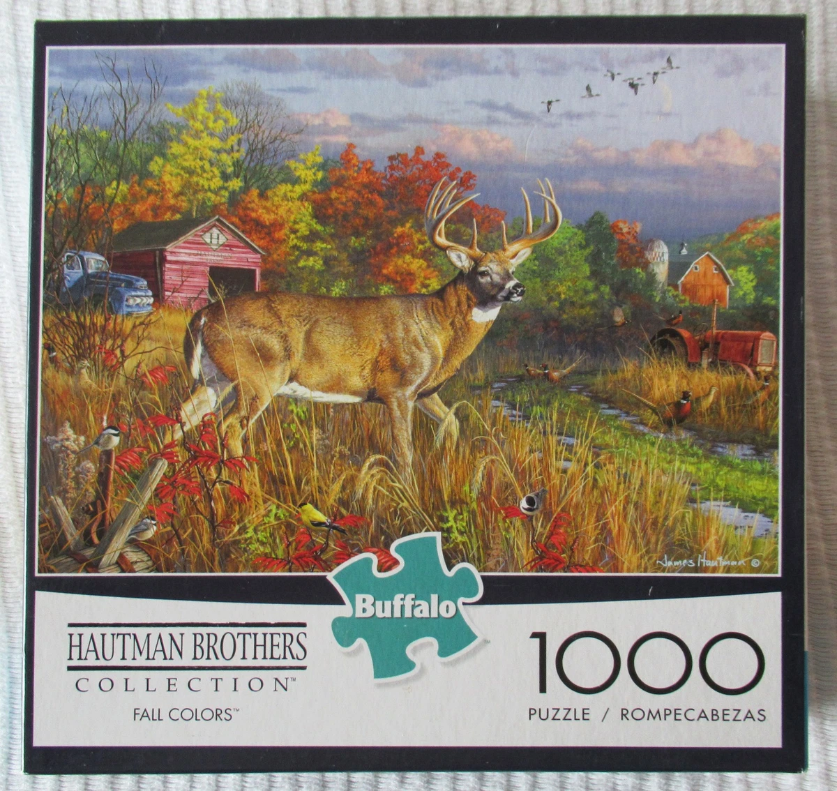 GAFAS DE SOL CON ESTRELLAS MARTINELIA - Din Y Don