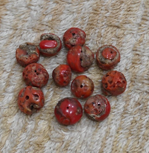 Old Italian Red Coral Beads Natural Loose Gemstone 12 Pieces Lot