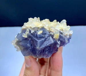 Fantasma azul púrpura natural con racimo de calcita, muestra de fluorita - 218 gramos - Imagen 1 de 8
