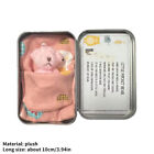 Bear Tin Tiny Pocket Plush Bear In A Tin Box Soft Stuffed Bear Doll Toy Gv