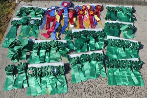 HUGE LOT 80+ Colorful Horse Show Ribbons Equestrian Awards Vtg/Newer Champion - Picture 1 of 15