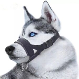 Large Dogs Anti Barking Pet Mouth Mask Collar Muzzle Dog Muzzle Halter Leash
