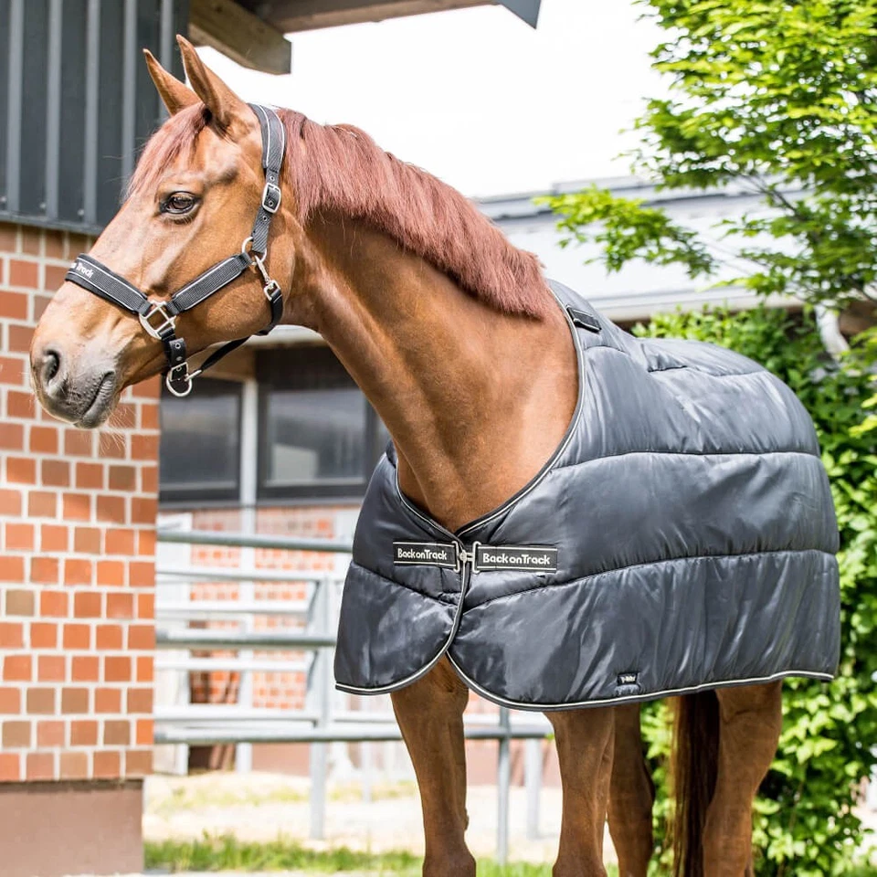 Back on Track Rhyolite Insulated Liner 100g - Bild 1 von 1