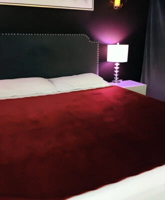 PassionMate 100% Waterproof Intimacy Love Blanket Bed Pad- 60"x55" for Queen Bed - Image 1 of 4