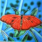 Butterfly Hand Painted Ceramic Art Tile Coaster 4 X 4 Inches With Back