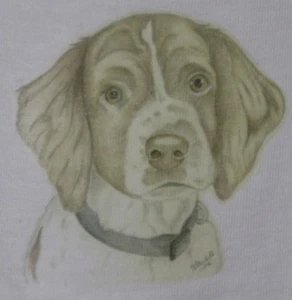 Springer Spaniel T-Shirts 7 Designs Baby, Kind und Erwachsene Größen. Einzigartige Designs - Bild 1 von 11