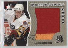 2005 ITG Heroes and Prospects Gold Spring Expo 1/1 Jay Bouwmeester #GUJ-03 1x1