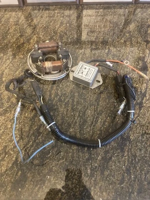 Estator Yamaha Exciter 440 1978-1979, Hewtech CDI en funcionamiento, arnés de carrera  Foto 1 de 4