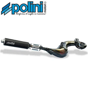 POLINI MARMITTA SCARICO ESPANSIONE COMPLETO SPORT RACING PEUGEOT 103 SPX 50 - Foto 1 di 4