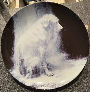 Swid Powell William Wegman Dusted, 1982 Collector's Plate 12" Art Matters No Box - Picture 1 of 3