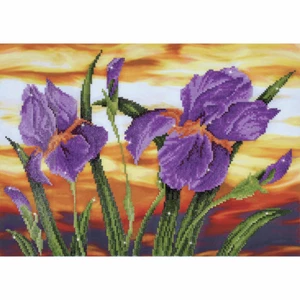 Diamond Dotz Diamond Painting Kit: Iris Sunset - Picture 1 of 1