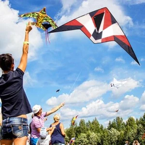 HQ Stunt Kite Rookie Ready Fly 120 x 60cm with Line -2025 30M P9V4 - Picture 1 of 9