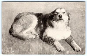 1910's JIM THE DOG EZRA MEEKER OREGON TRAIL MONUMENT EXPEDITION POSTCARD - Picture 1 of 2