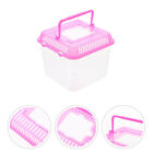 Clear Portable Habitat for Small Creatures with Handle and Lid