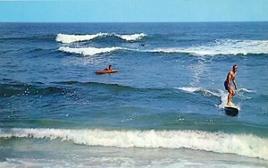 Surfin' --POSTAL - Imagen 1 de 2