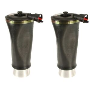 Arnott A-2220 Pair Set of 2 Rear Air Sus Springs For Ford Lincoln Mercury
