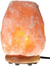 Himalayan Crystal Salt Lamp Natural Therapy 8-9'' Hand Curved Feng Shui Healling
