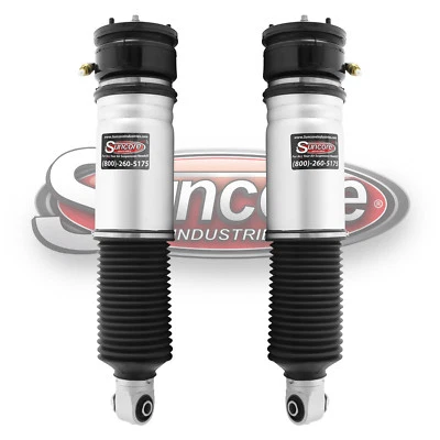 2002-2005 BMW 745Li E65 Rear Air Strut Pair w/out EDC Foto 1 de 4