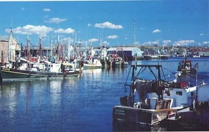 Gloucester Hafen Massachusetts Postkarte von Rick Ashton unbesendet - Bild 1 von 2