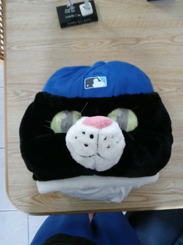 DJ Kitty  Tampa Bay Rays Mask. NEW Cover