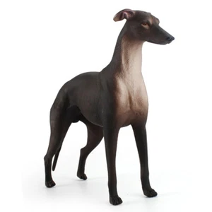 Escala Realista Galgo Perro Estatua Resina Animal Modelo Juguetes Figura Decoración 1/6 - Imagen 1 de 7