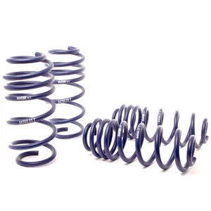 Kit de resortes traseros delanteros deportivos H&R 54760-55 descenso OE para 06-22 VW Passat sedán - Imagen 1 de 4