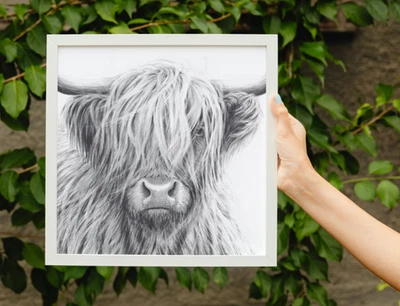 highland cow modern poster wall art print unframed various sizes available - image 1 of 4