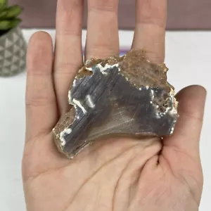 Carnelian Geode Slice Rock Brown Mexico - Picture 1 of 7