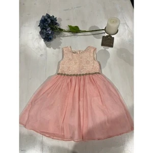 Size 6 girl pink fit and flare dress Purple Rose - Picture 1 of 6