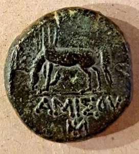ANCIENT GREECE: Pontos, Amisos: Pegasos Grazing, 85-65 BC. Green Patina. - Picture 1 of 2